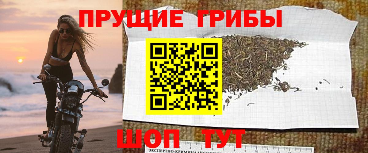 Псилоцибиновые грибы MAGIC MUSHROOMS Сланцы