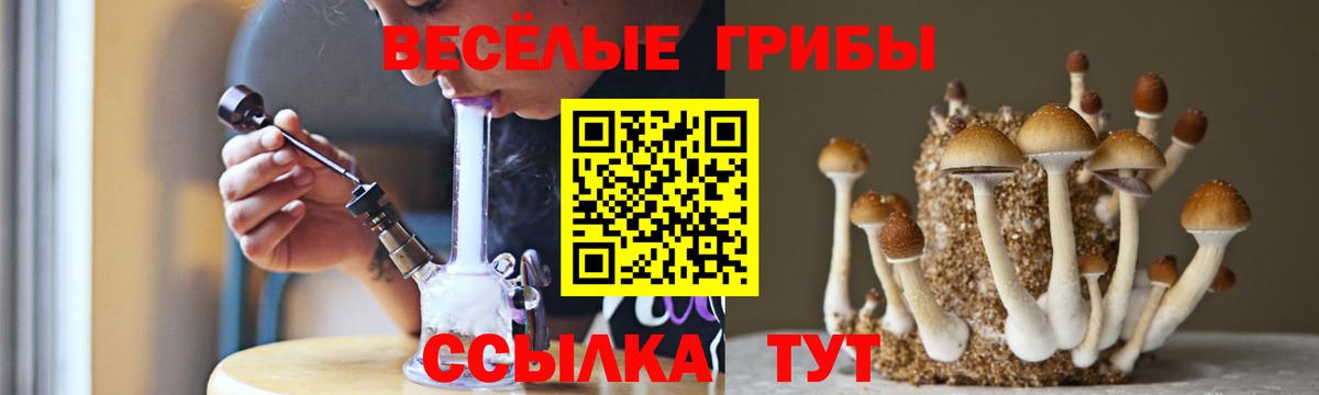 Псилоцибиновые грибы Psilocybine cubensis  Вход с VPN  Сланцы 